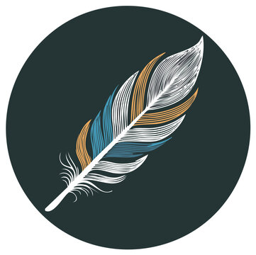 Colorful stylized feather in a dark circle graphic illustration