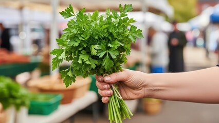 Hand holding fresh parsley bunch at outdoor market with stalls in background