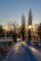 road and trees in winter towards the bachlight of the sunset with clouds and blue sky in a rural area and natural preserve in Lauterach in Vorarlberg Austria