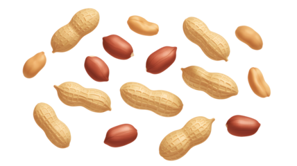 Scattered peanuts in shells and shelled, light and reddish brown nuts collection isolated on white PNG.