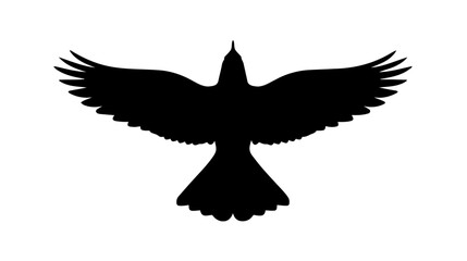 Bird Silhouette Vector &mdash; Black Flying Bird Wings Spread Illustration on White Background