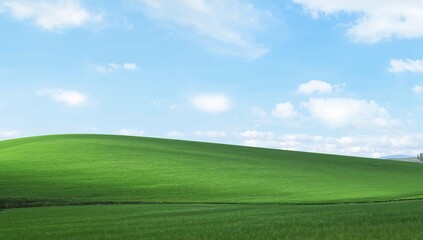 Fototapeta premium Idyllic natural landscape featuring a smooth, verdant hill beneath a bright blue sky dotted with gentle white clouds, conveying serenity and untouched beauty