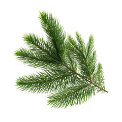 Obraz premium Fresh green pine tree branch with needles isolated on white background. Natural evergreen twig for Christmas decoration, winter holiday design and nature concept