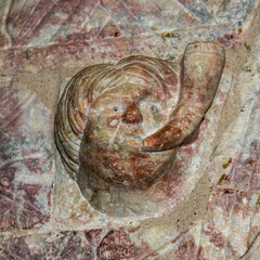 chapiteau au Prieur&eacute; de Serrabone dans les Pyr&eacute;n&eacute;es Orientales en France
