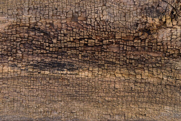 Old weathered wood texture background