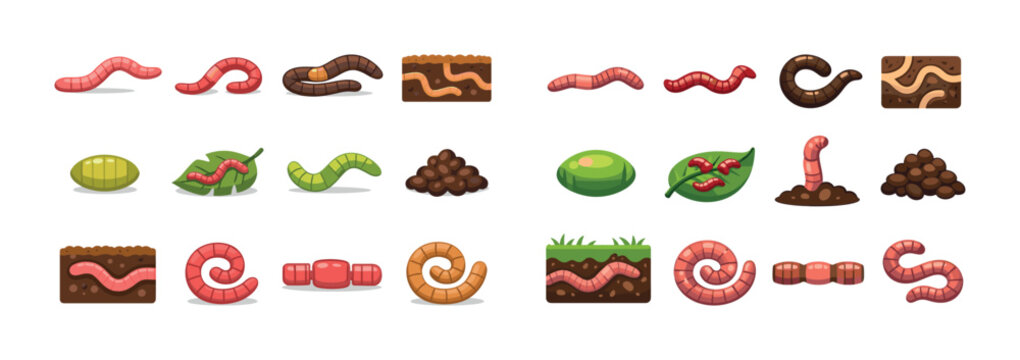 Cartoon earthworms and soil elements collection on white background