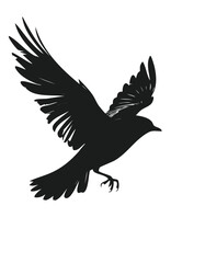 Obraz premium Silhouette of a flying crow in dark background