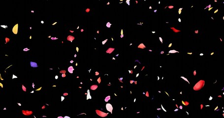 Colorful flower petals sway in the wind. Isolated on black background. 3D rendering.