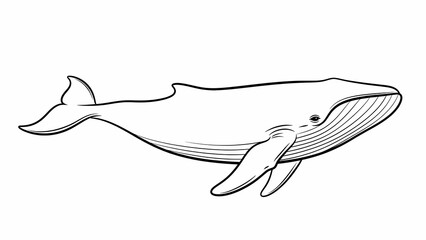vector illustration of a fish