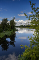 The Tuga River flowing into the Szkarpawa River, Żuławy, Poland