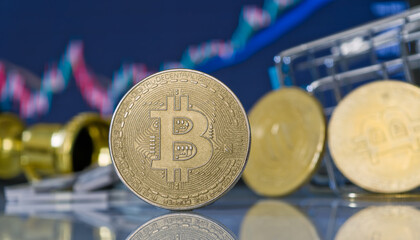 Bitcoin investment and cryptocurrency market dynamics