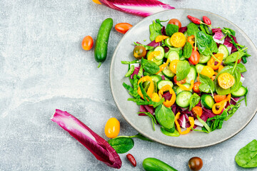 Fresh Vegetable Salad Selection