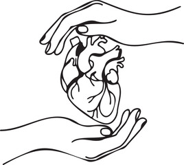 Obraz premium A delicate line art illustration showing hands gently cradling a human heart symbolizing care high quality professional detailed modern elegant stylish clean crisp vibrant colorful digital
