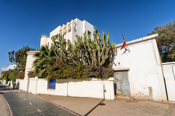 White Wall Building With Cactus Garden Along Quiet Urban Street Under Bright Blue Sky, Agadir, Morocco