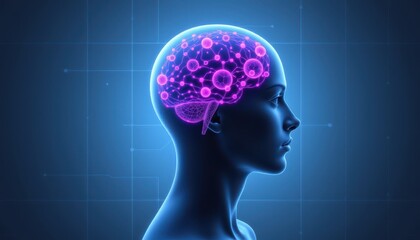 Futuristic Representation of a Human Brain with Neural Connections and Digital Elements in Light and Shadow