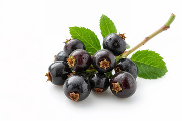 Fresh Elderberries on White Background, Isolated, Vibrant Detail