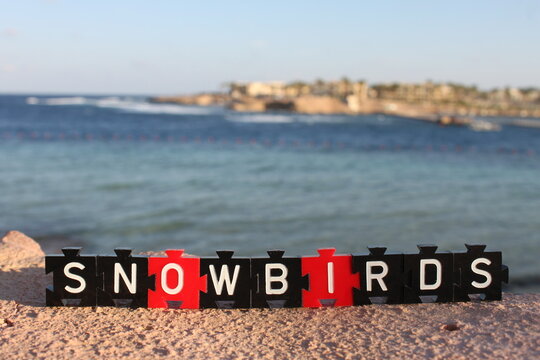 Close-up of Snowbirds written in white board game letters on red and black tokens in crossword style, standing on surface in direct sunlight. Blurred tropical coastline and sea shore in background.