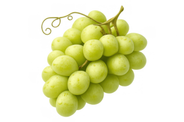 Fresh green grapes bunch with water drops, ripe fruit, healthy snack and natural food on transparent background