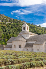 Abbaye de Senanque, Gordes, Provence, France