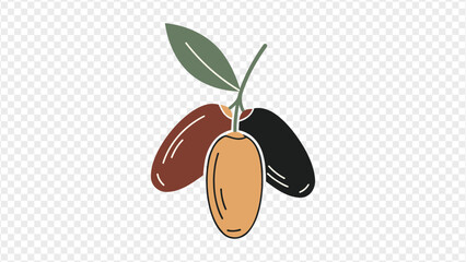 three dates with leaf on transparent background