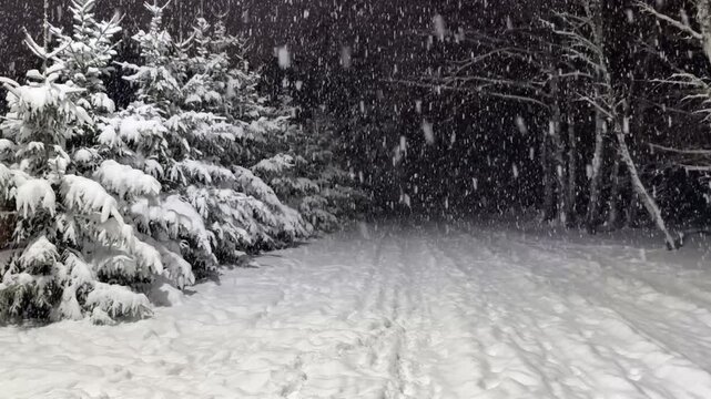 Slowmotion, zwolnione tępo. padające płatki śniegu, noc, mr&oacute;z, chł&oacute;d, latarnia uliczna, las, drzewa, horror, przerażający klimat.