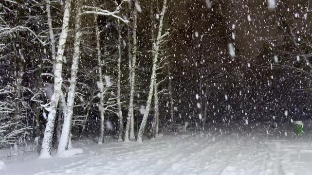 Slowmotion, zwolnione tępo. padające płatki śniegu, noc, latarnia uliczna, las, drzewa, horror, przerażający klimat.