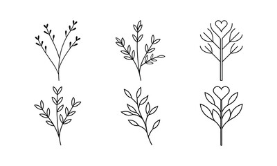set of silhouettes line art of botanical branches leaf