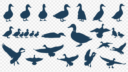 duck silhouettes on transparent background © GW