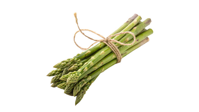Fresh asparagus tied with string isolated on transparent background cut out