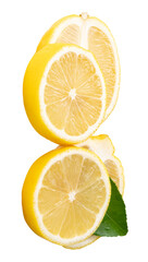 Front view of ripe yellow lemon fruit in slices in two circles and two oval shapes with green leaf in stack isolated on white background with clipping path