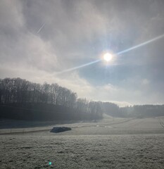 Winter landscape with snow-covered trees and ground. Peaceful winter scenery in natural environment with cold weather atmosphere. Concept of winter season, nature, cold, calmness, and beauty.