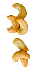 A set of six roasted or baked cashew nuts in two heaps isolated with clipping path in png file format