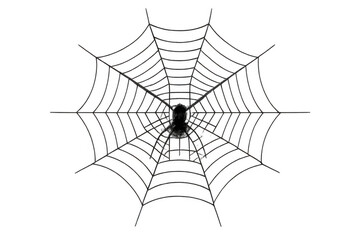 Obraz premium Black spider building a silky web, representing fear, halloween, and nature with a transparent background for versatile use