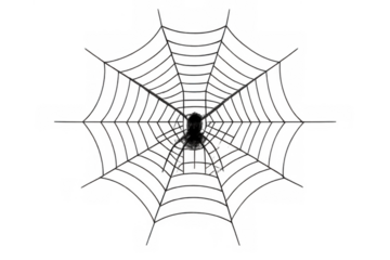Black spider building a silky web, representing fear, halloween, and nature with a transparent background for versatile use