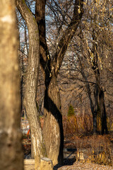 서울 숲의 겨울 이야기