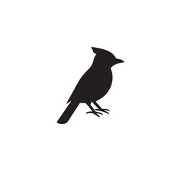 Obraz premium Bird silhouette vector illustration isolated on a white background