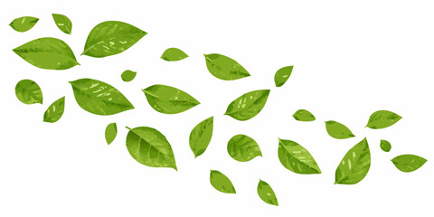 Scattered green leaves gracefully drifting in a dynamic natural arrangement © Pabitra