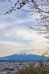 Fuji mountain nature landscape background in the spring season at Chureito pagoda, Japan.