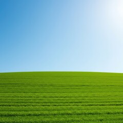Obraz premium A peaceful, lush green grassy hill slopes gently upwards toward a bright, clear blue sky during a warm, sunny afternoon in the countryside ,day ,rolling ,open