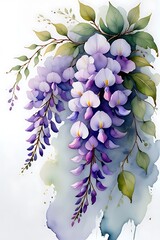 Beautiful watercolor wisteria flowers with green leaves