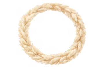 Pampas grass circular wreath with fluffy beige dried flowers creating an organic boho frame, transparent background