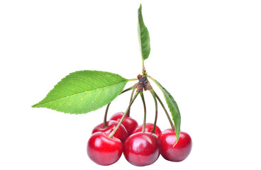Cherry isolated on white background