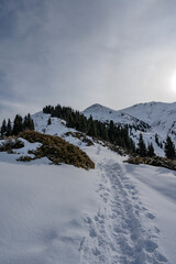 snow covered mountains