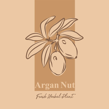 Argan Labels with Hand-Drawn Style, Packaging Design with Fruit Icons and Text, Minimal and Colorful label design, label sticker for packaging, editable print-ready vector template file illustration 