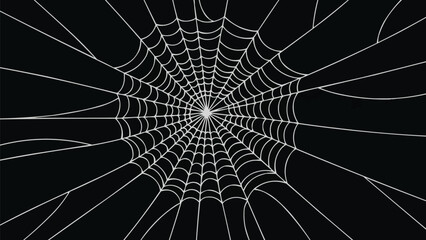 Silk Threads Weaving Cobweb Lattice Pattern, Delicate Spider Web Structure, Intricate Sticky Fiber Network Illustration
