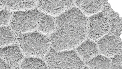 Close up of hexagonal honeycomb structure with crystalline formations png isolated transparent background