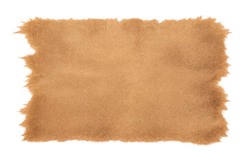 Obraz premium Blank vintage parchment background with torn edges, old paper texture for antique design and document template