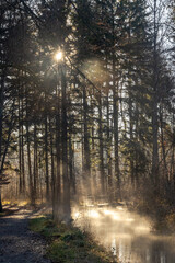 Mist rising from forest creek illuminated by morning sunlight Germany, Augsburg, 10 December 2025