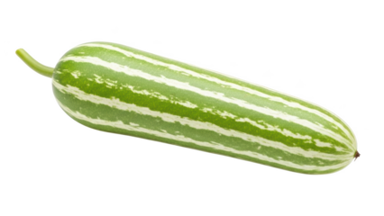 Green and white striped snake gourd on black background kachumber vegetable