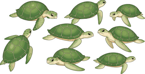 Sea turtle collection featuring green aquatic turtles with detailed shell patterns and flippers swimming in various poses for marine nature vector design. © Aminul